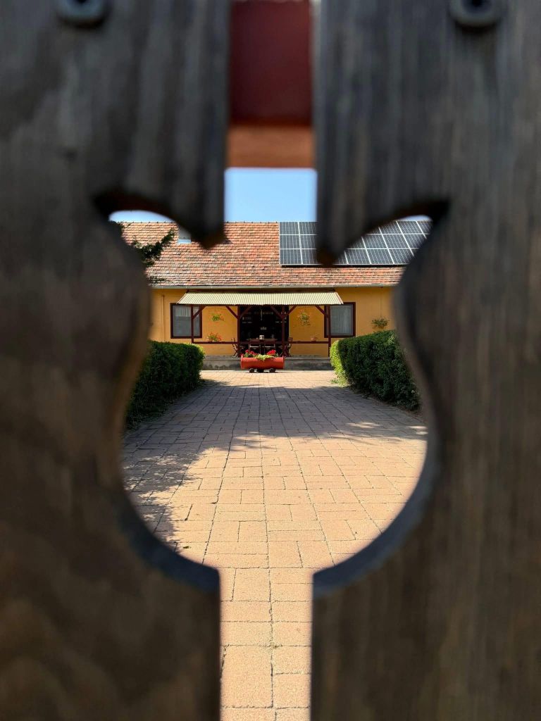 Pici Paci Porta - Kiskunhalas